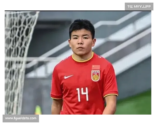 中国球员留洋经历分享，徐彬目标在英冠乃至英超取得成就