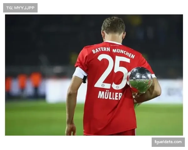 浙江队压哨签下巴西前锋，转会窗关闭前完成外援拼图